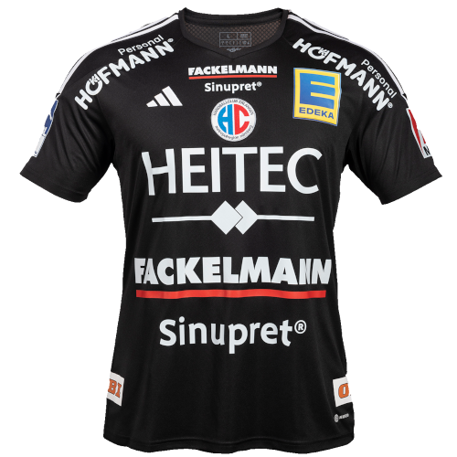 HC Erlangen artwork 3