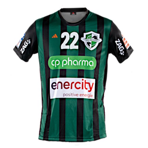 TSV Hannover-Burgdorf artwork 3