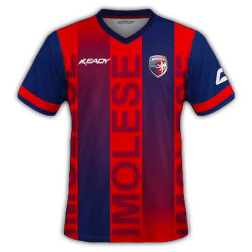 Imolese Calcio 1919 artwork 2