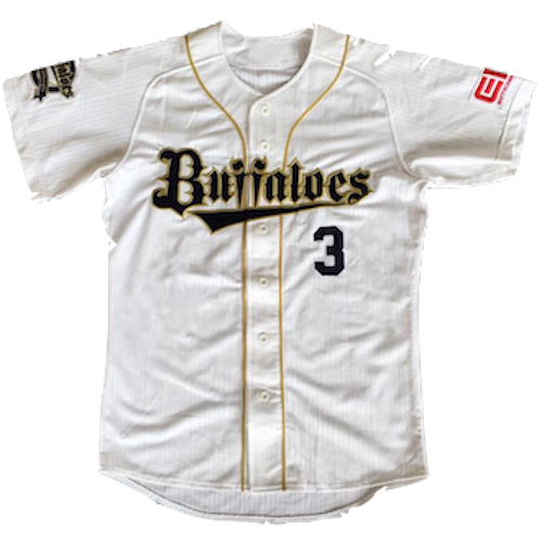 Orix Buffaloes artwork 3