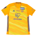 Vegalta Sendai jersey