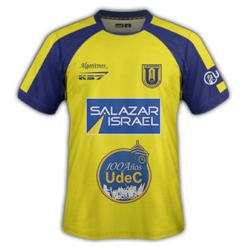 Universidad de Concepción artwork 2