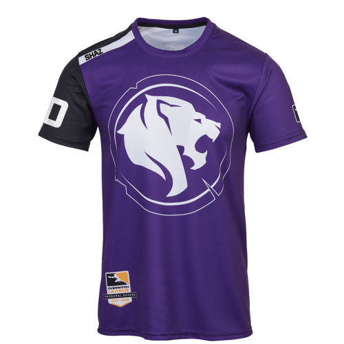 Los Angeles Gladiators artwork 3