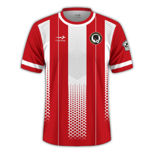 Tanjong Pagar United artwork 2