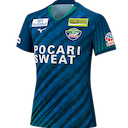 Tokushima Vortis jersey
