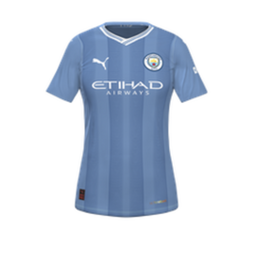 Manchester City WFC artwork 3