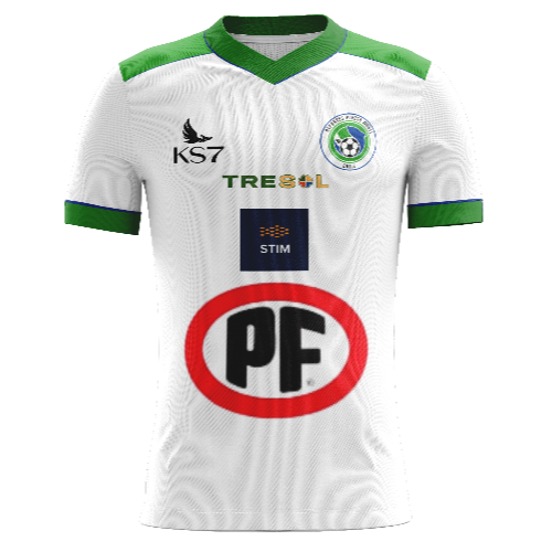 Deportes Puerto Montt artwork 2