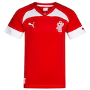 Denmark Handball jersey