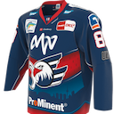 Adler Mannheim jersey