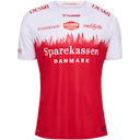 Aalborg Håndbold jersey