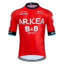 Arkéa-Samsic jersey