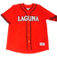 Algodoneros de Unión Laguna kit