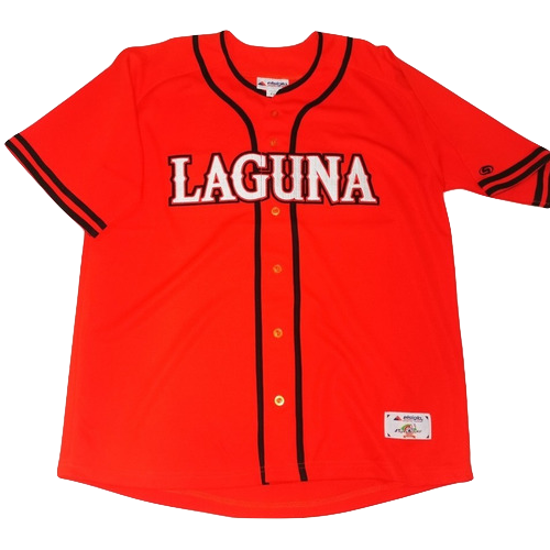 Algodoneros de Unión Laguna artwork 3