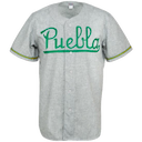 Pericos de Puebla jersey