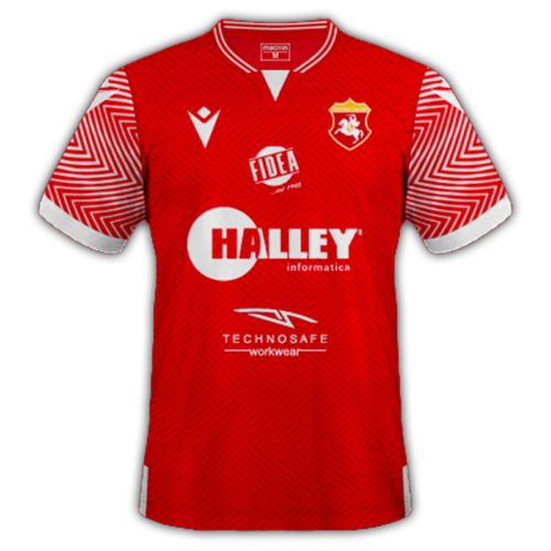 Ancona-Matelica artwork 3