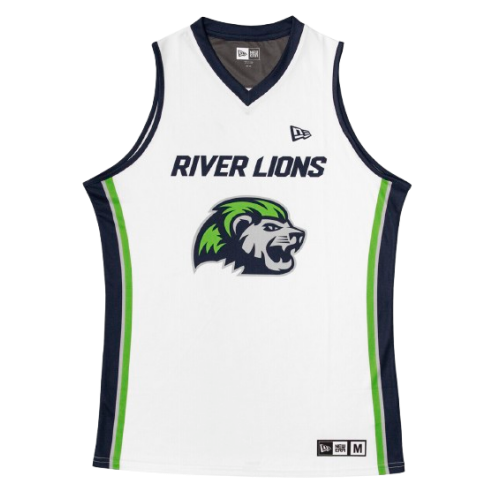Niagara River Lions artwork 3