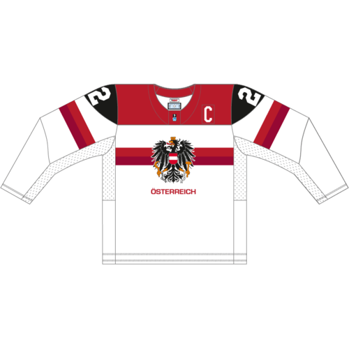 Austria Ice Hockey artwork 2