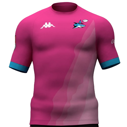 Miami Sharks artwork 3