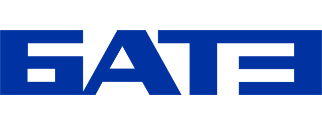 BATE Borisov artwork 2