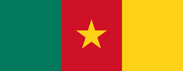 Cameroon artwork 2