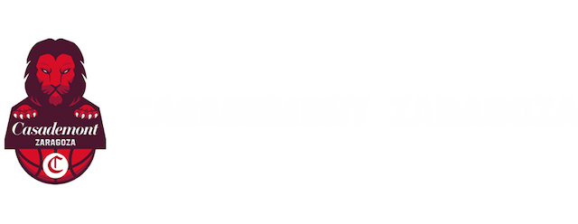 Basket Zaragoza artwork 2