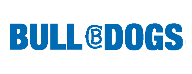 Canterbury Bankstown Bulldogs artwork 2