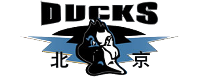 Beijing Ducks artwork 2