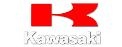 Kawasaki Racing Team artwork 2