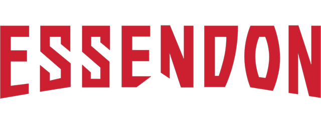 Essendon Football Club artwork 2