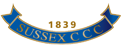 Sussex Sharks artwork 2