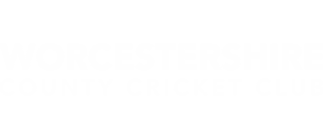 Worcestershire Rapids artwork 2