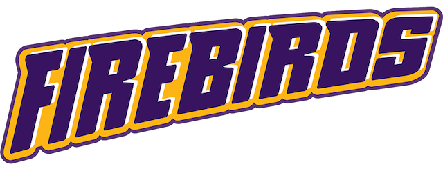 Queensland Firebirds artwork 2