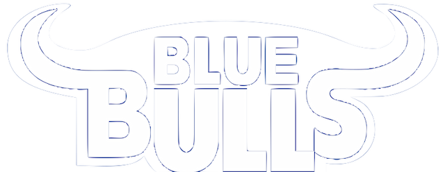 Bulls Super Rugby artwork 2
