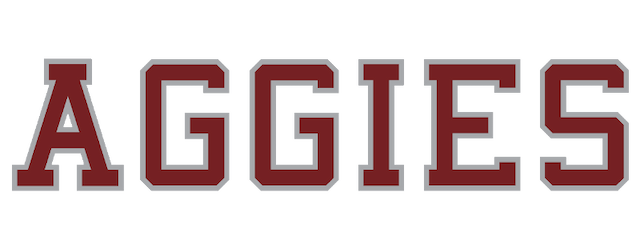 Texas A and M artwork 2