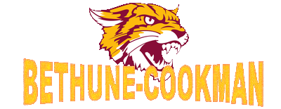 Bethune-Cookman artwork 2