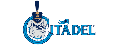 The Citadel artwork 2