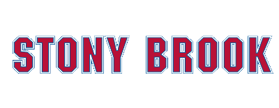 Stony Brook artwork 2