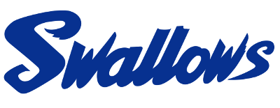 Tokyo Yakult Swallows artwork 2