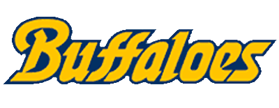 Orix Buffaloes artwork 2