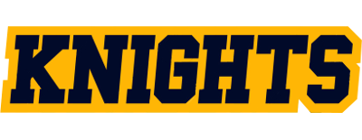 York City Knights artwork 2