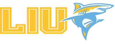 LIU-Brooklyn artwork 2