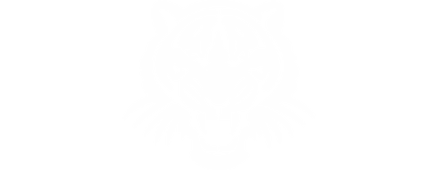 Worksop Town artwork 2