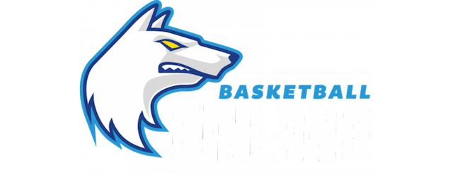 Finland Basketball artwork 2