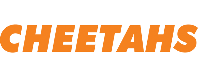 Free State Cheetahs artwork 2