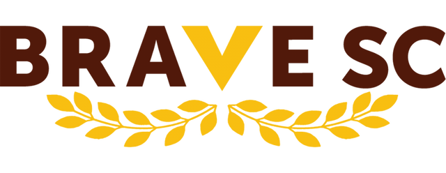 The Villages SC artwork 2