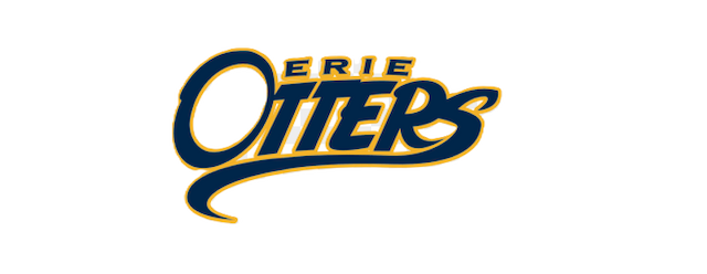 Erie Otters artwork 2