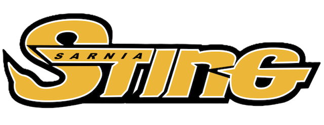 Sarnia Sting artwork 2