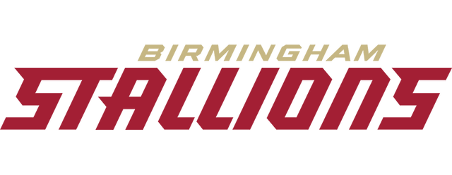 Birmingham Stallions artwork 2
