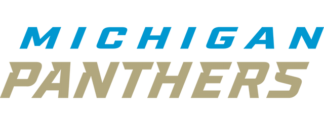 Michigan Panthers artwork 2