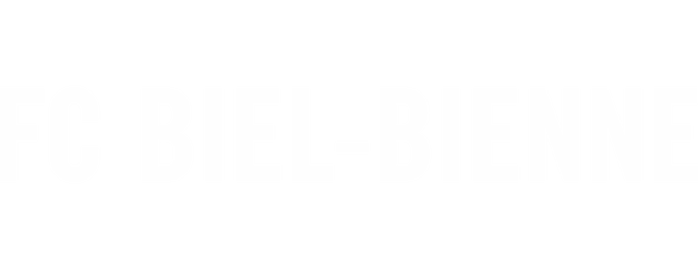 Biel-Bienne artwork 2